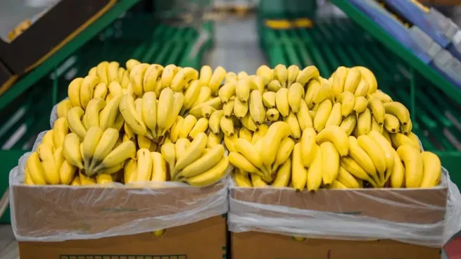 bananas