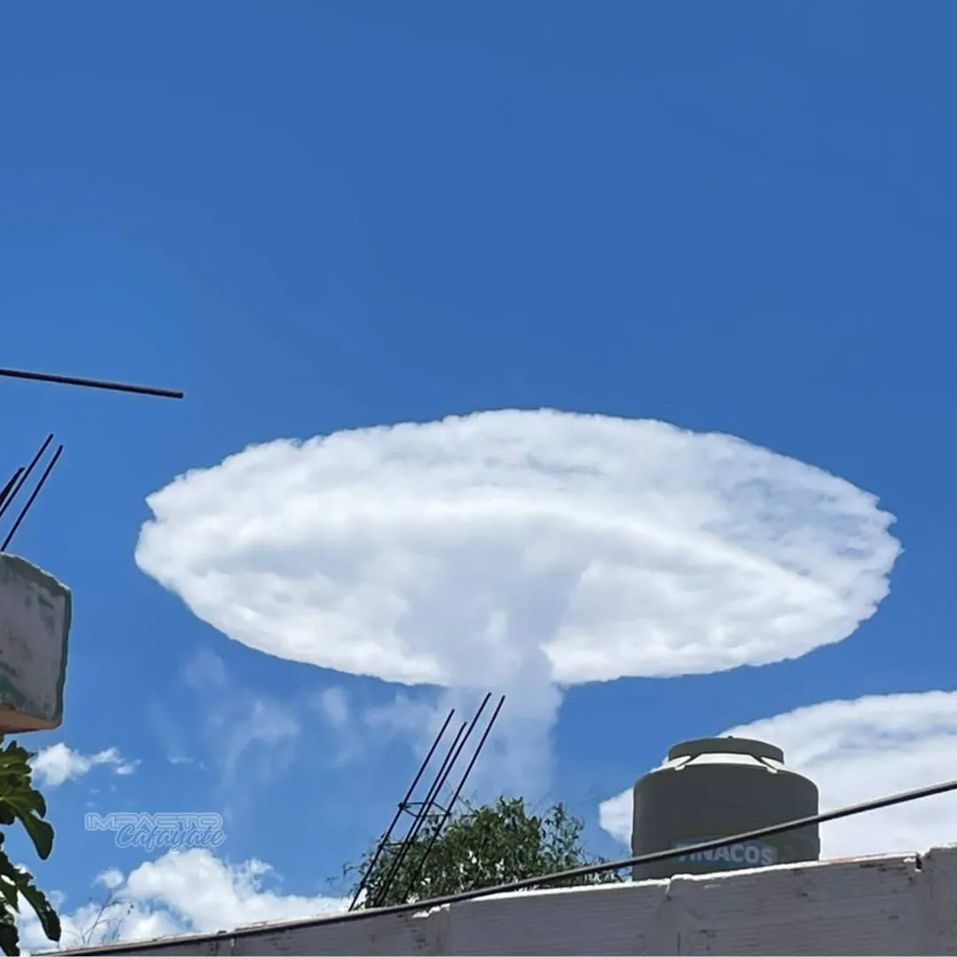 475884784_1073794598093938_6887397122063504236_n