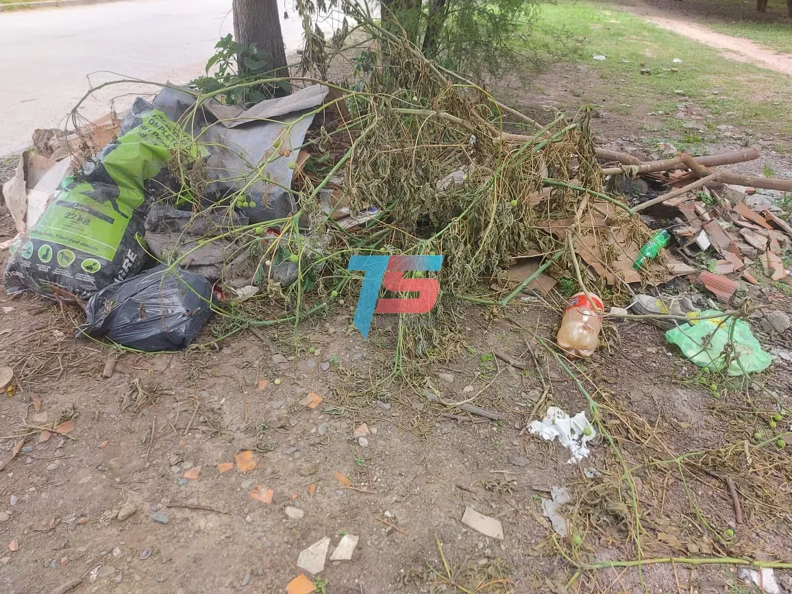 WhatsApp Image 2024-12-11 at 11.26.09