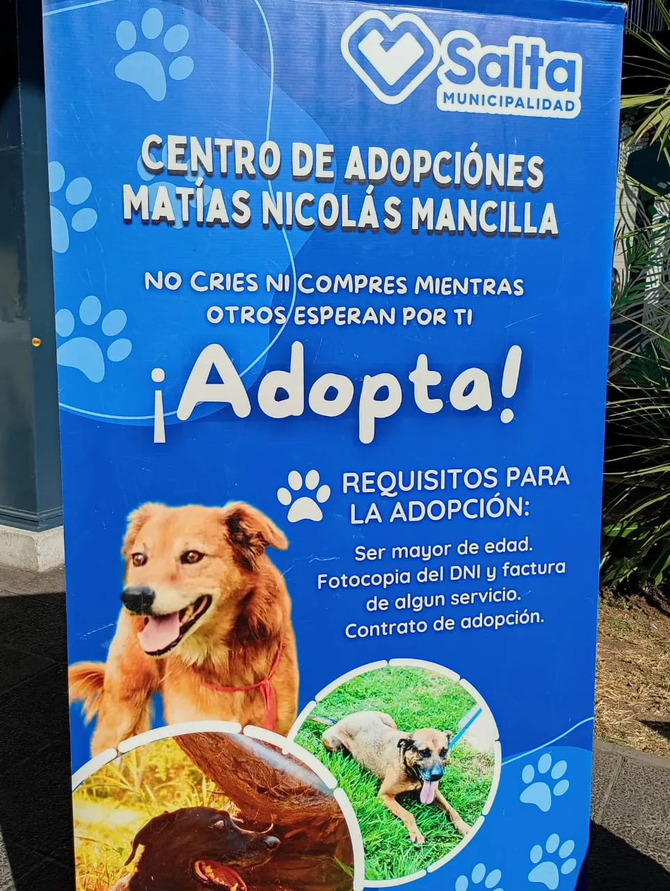 WhatsApp Image 2024-07-17 at 11.26.39