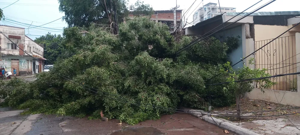 462269825_1194612635511740_4479445954020929410_n