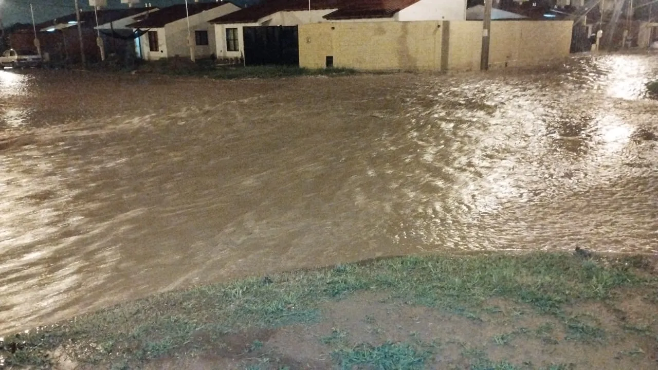 WhatsApp Image 2024-01-17 at 08.27.55