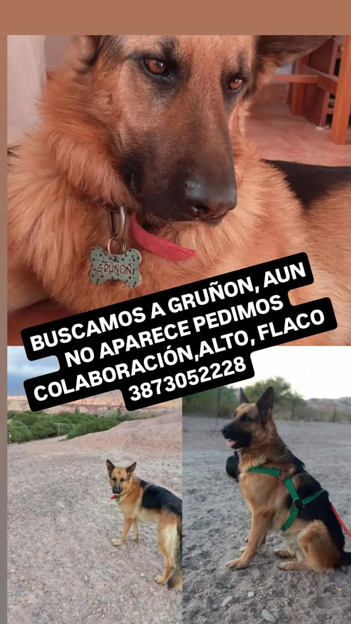 470204861_10162771685473028_4781911982719503430_n