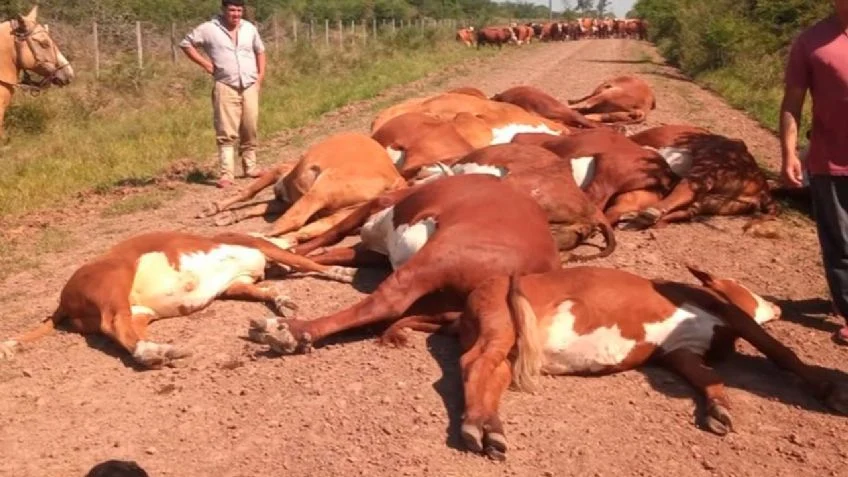 f848x477-1726345_1784148_5050