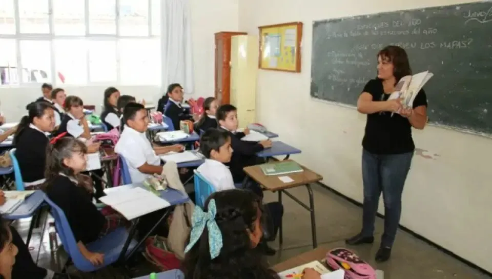 WhatsApp Image 2025-01-23 at 08.17.42