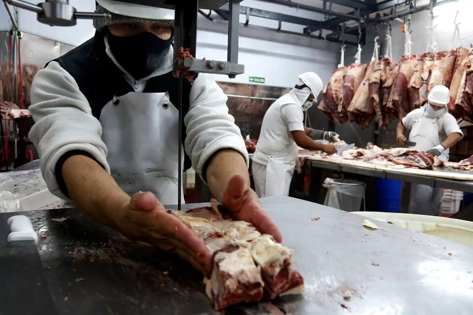 290825-carne-20-282-29