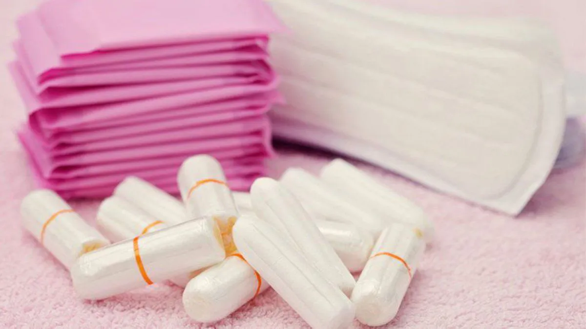 la-iniciativa-busca-la-gratuidad-copas-menstruales-toallas-ecologicas-tela-esponjas-marinas-ropa-interior-absorbente-toallas-descartables-industriales-y-tampones