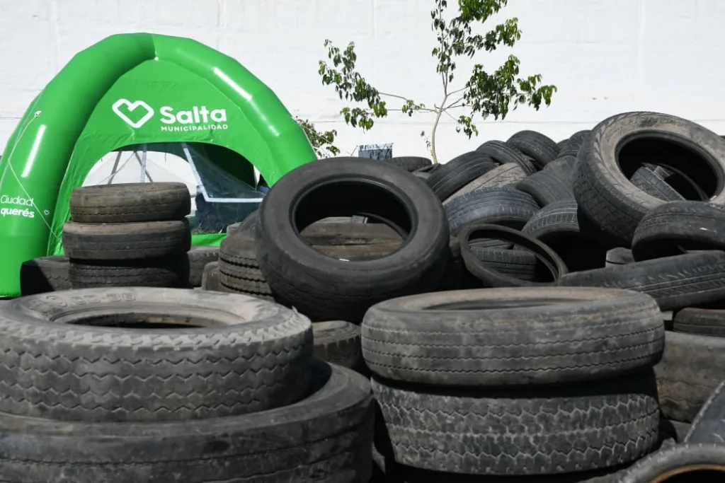 17mo-neumaton-ccm-6-1024x683