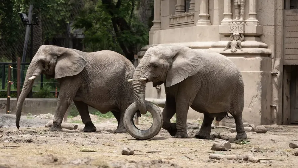 WhatsApp Image 2024-10-23 at 08.03.38