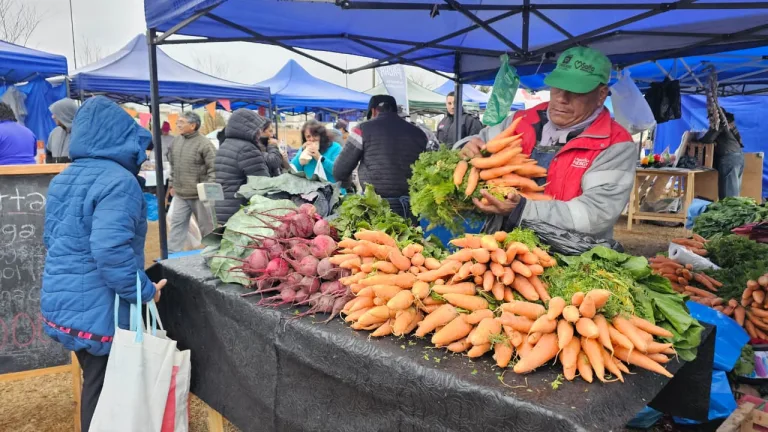 mercado-en-tu-barrio-zona-norte-2-768x432