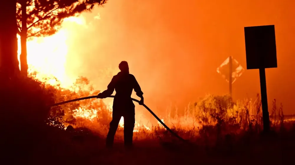 WhatsApp Image 2026-01-29 at 12.19.43