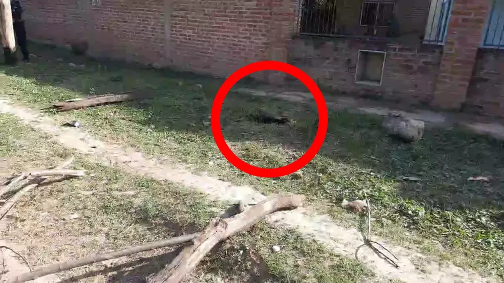 PORTADA PARA TODO SALTA (7)