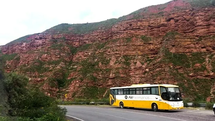 245649786_4670697556275115_2190438375252211681_n