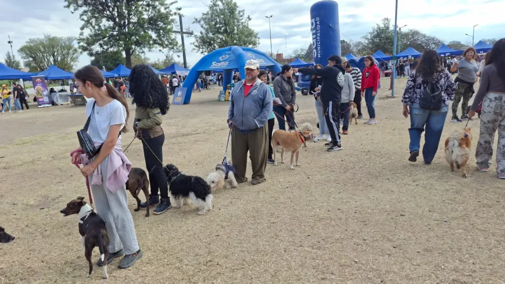 la-muni-animal-2-1536x864