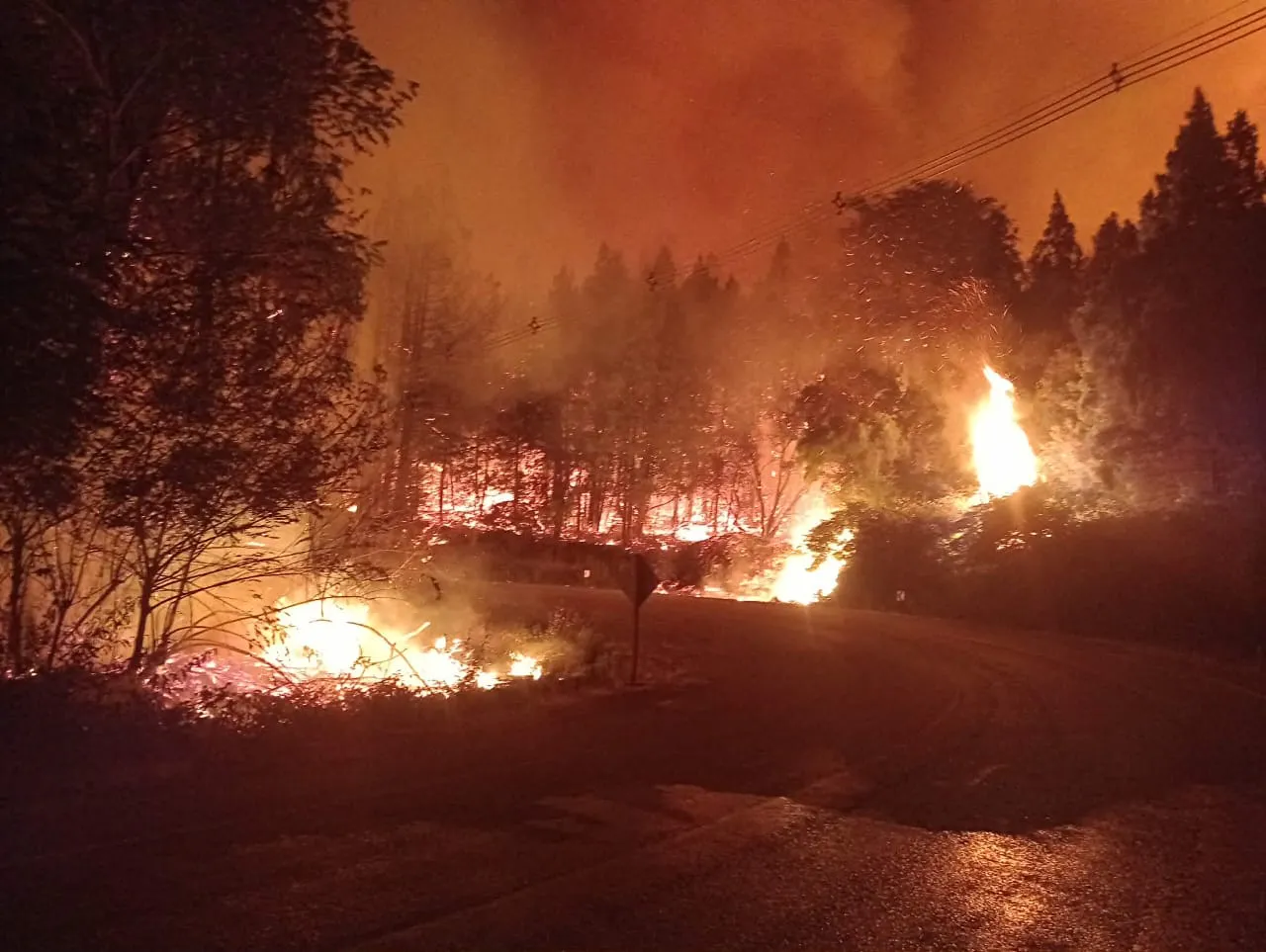 WhatsApp-Image-2026-01-09-at-4.32.17-AM