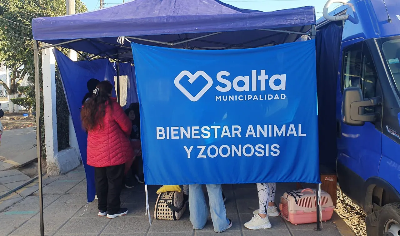 vacunacion-antirrabica-vitale-5