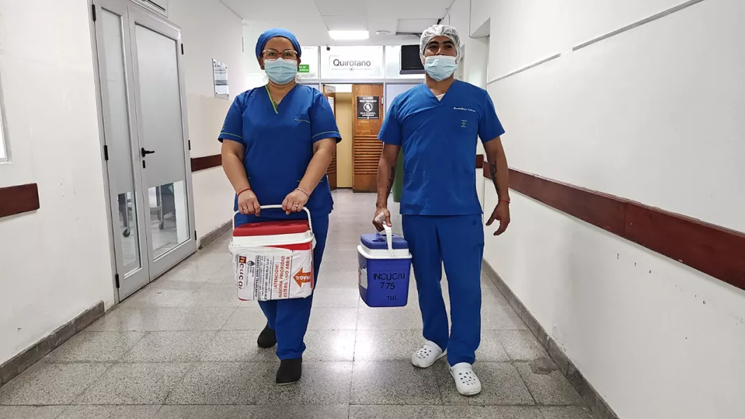 99414-durante-la-nochebuena-se-realizo-un-trasplante-renal-en-el-hospital-arturo-oniativia