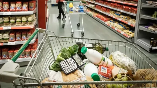 alimentos