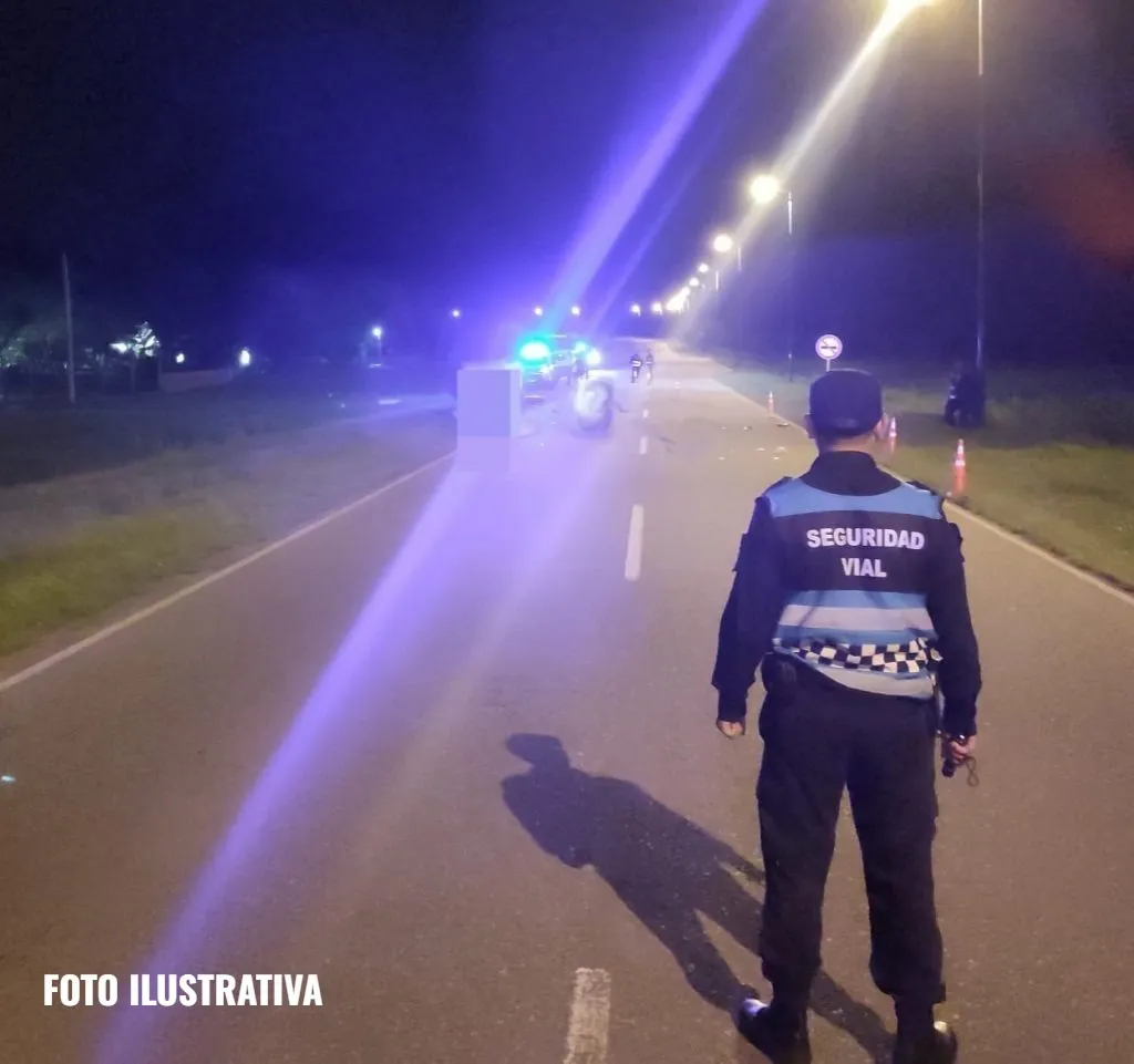 WhatsApp Image 2025-01-10 at 09.42.41