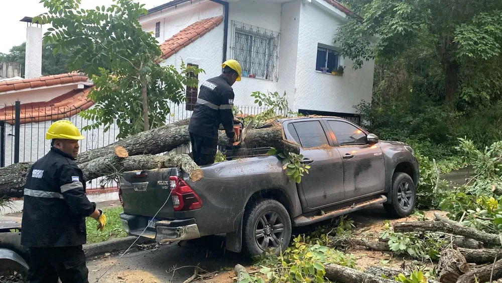 WhatsApp Image 2025-04-11 at 08.55.21