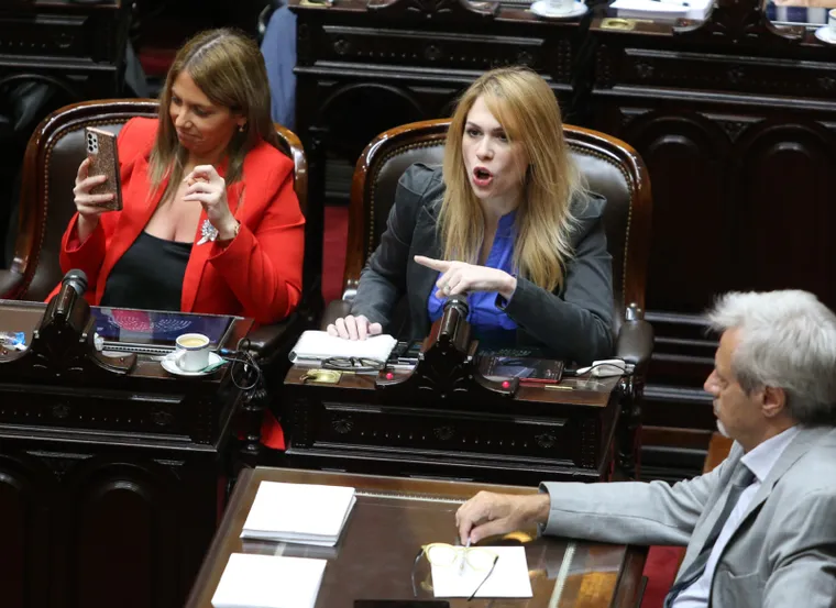 la-diputada-la-libertad-avanza-lilia-lemoine-foto-noticias-argentinas