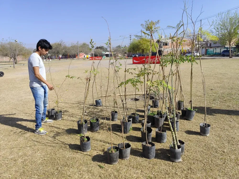 plantacion-aboles-barrio-parques-nacionales-5-1536x1152