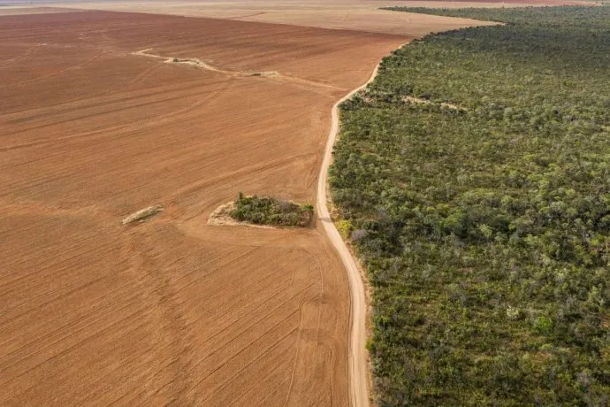 deforestacionjpg