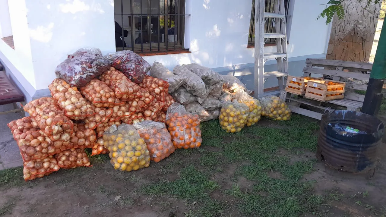 WhatsApp Image 2024-11-16 at 07.26.44