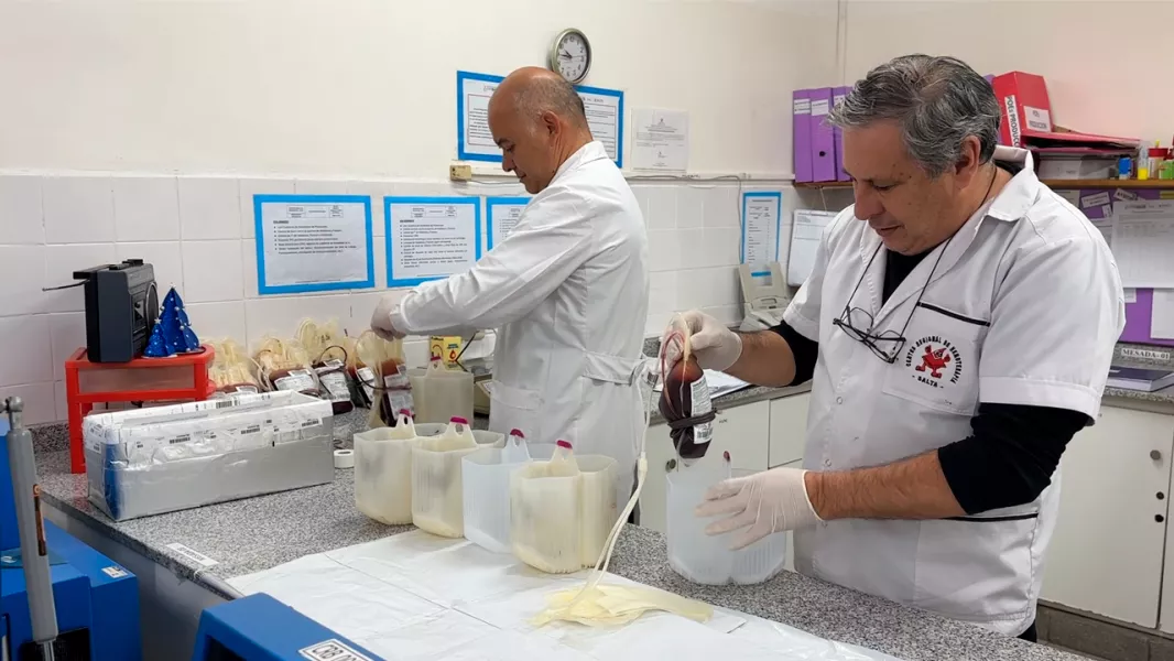 21291-el-centro-de-hemoterapia-consolido-la-seguridad-transfusional-innovacion-y-formacion-profesional
