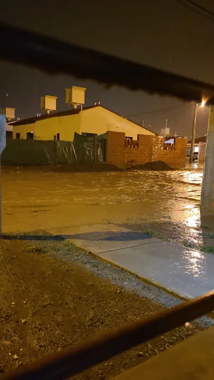 WhatsApp Image 2024-01-17 at 08.27.54