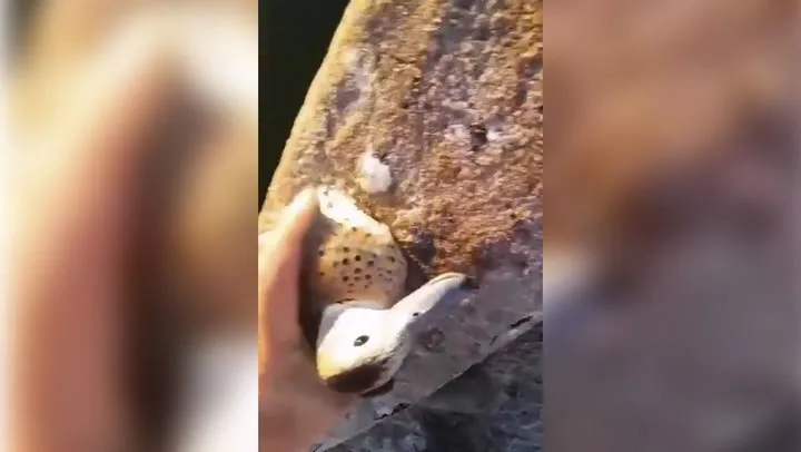 WhatsApp Image 2024-07-12 at 07.02.29