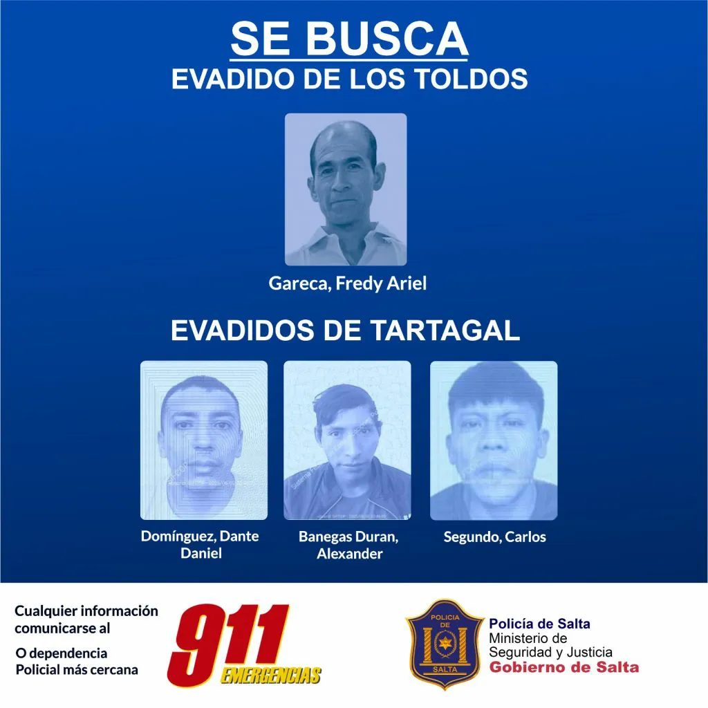 WhatsApp-Image-2025-06-10-at-2.51.37-PM-1024x1024