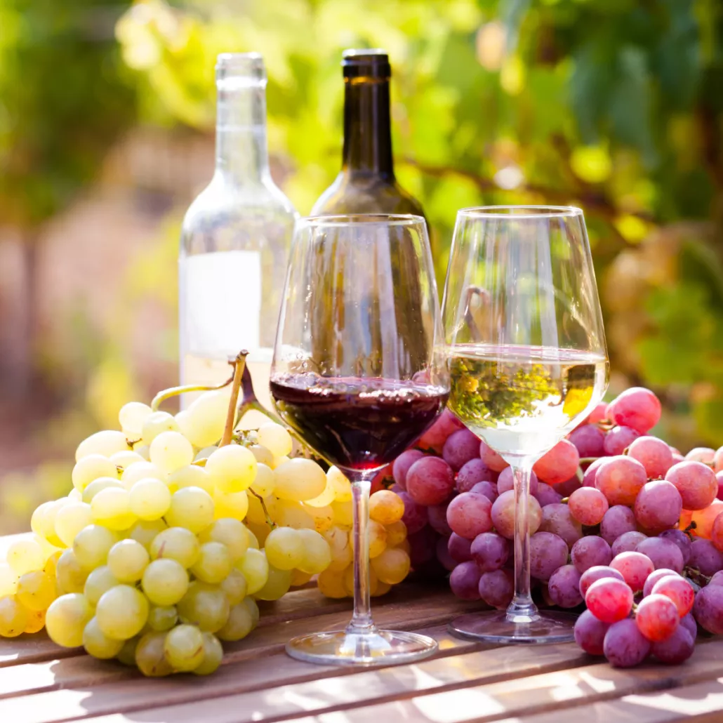 uvas-andalucia-y-extramadura-1030x1030