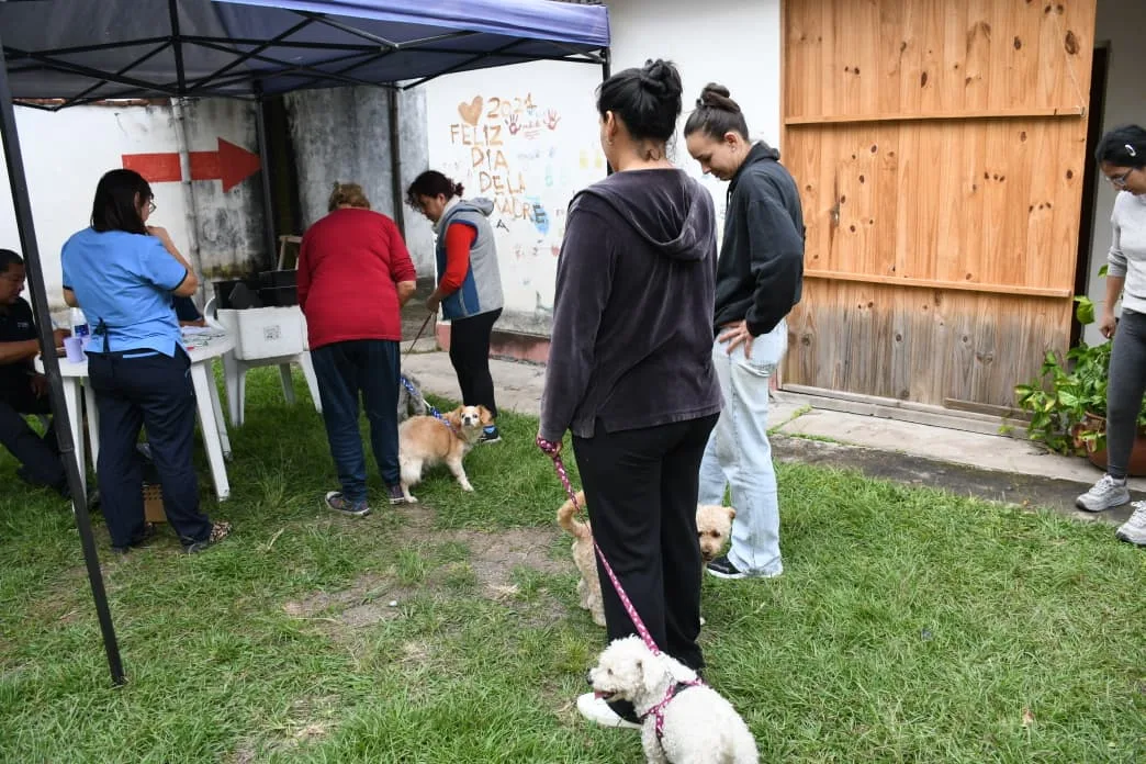 vacunacion-antirrabica-1