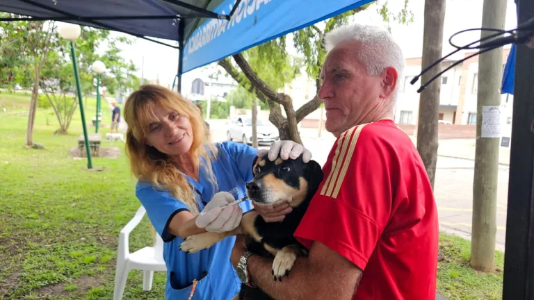 vacunacion-antirrabica-4-768x432