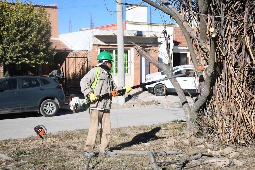 poda-preventiva-barrio-huaico-5-1024x683