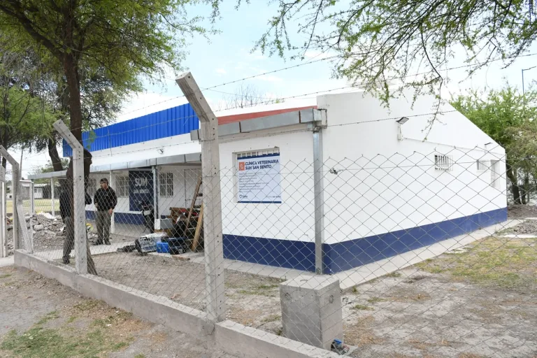 nuevo-hospital-de-mascotas-4-768x512