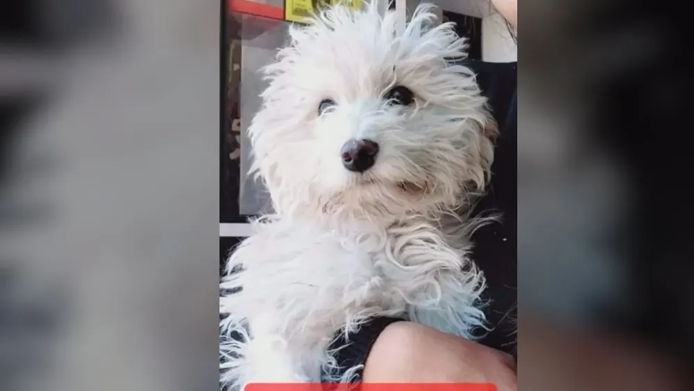 PORTADA PARA TODO SALTA