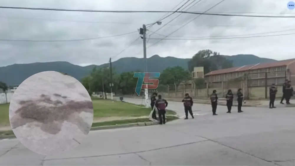 PORTADA PARA TODO SALTA (9)