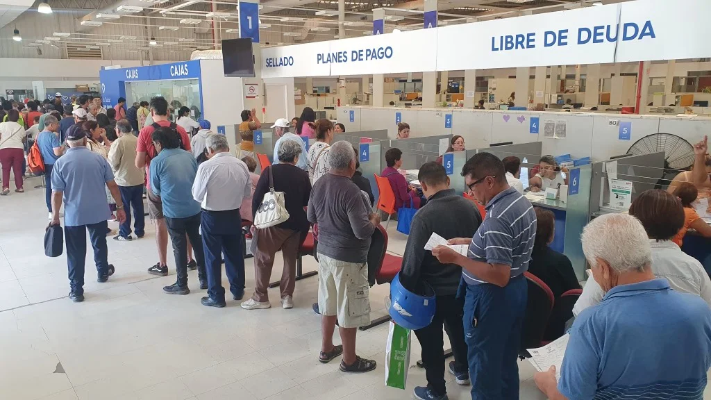 WhatsApp Image 2026-03-10 at 12.11.38