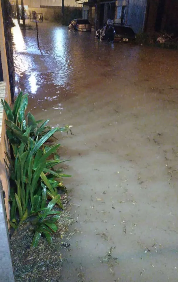 WhatsApp Image 2024-01-17 at 08.23.43