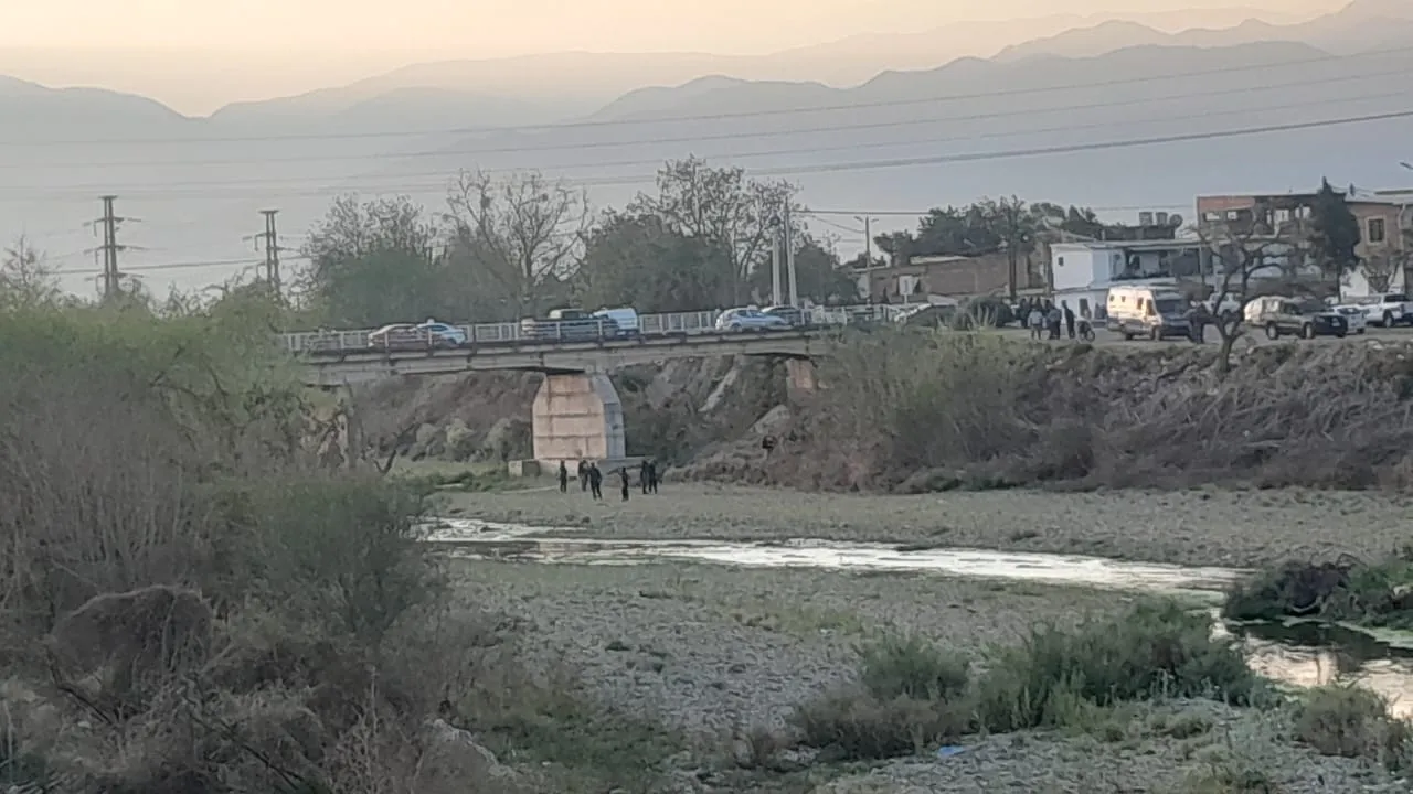 WhatsApp Image 2024-09-18 at 18.48.28