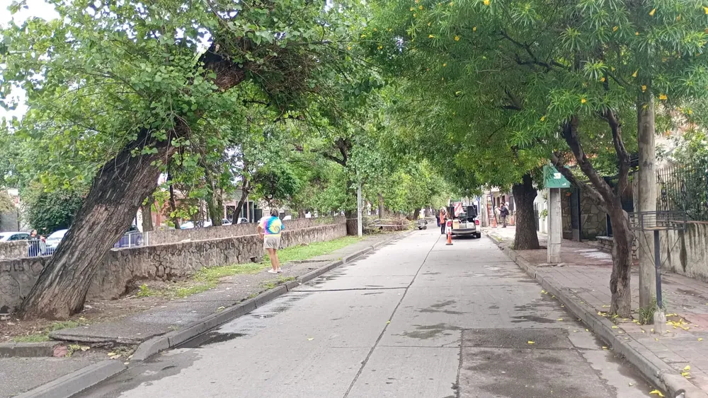 WhatsApp Image 2024-11-08 at 11.03.05