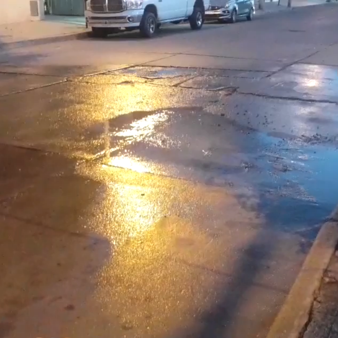 Diseño sin título (13)