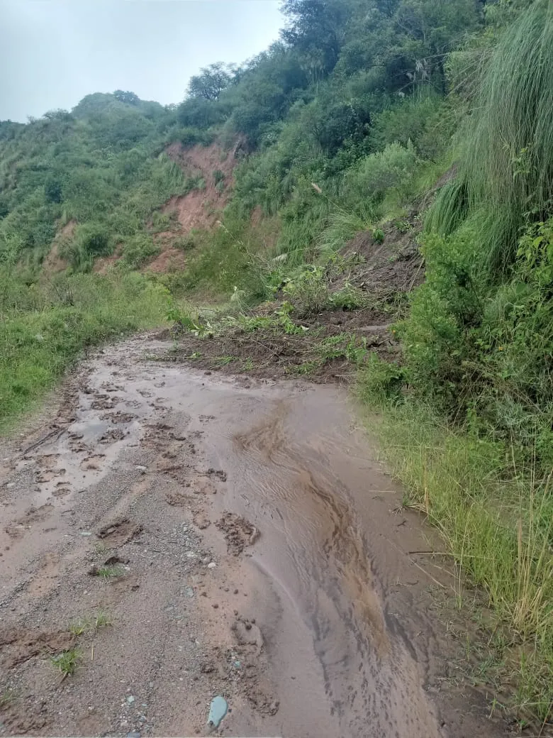 WhatsApp Image 2025-02-19 at 01.49.50