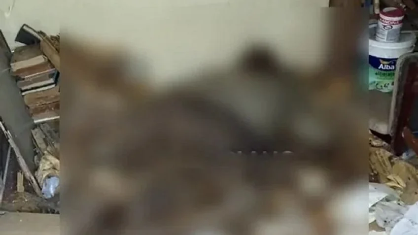 f848x477-1751187_1808990_5140