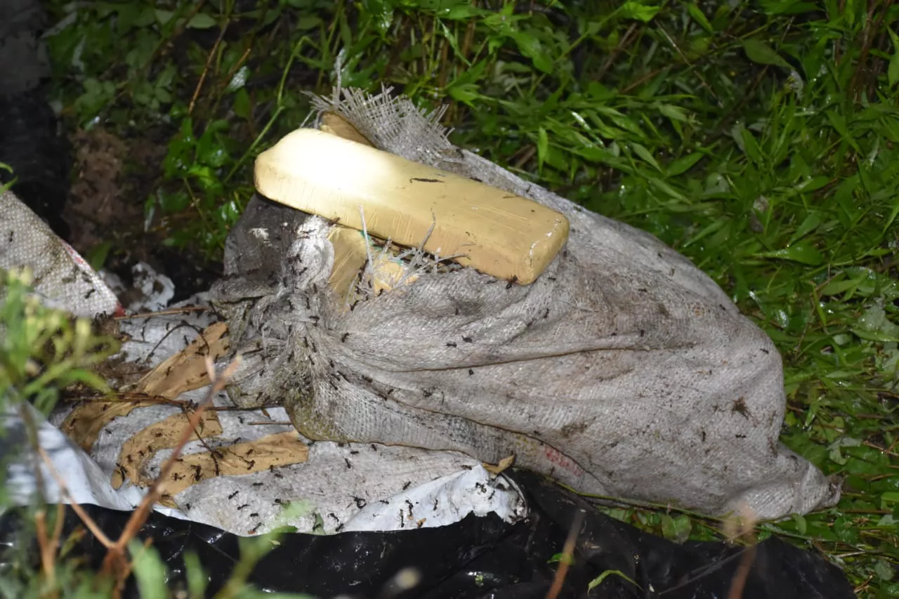 decomisan_mas_de_102_kilos_de_marihuana_en_un_campo_lindante_a_la_ruta_nacional_11_3