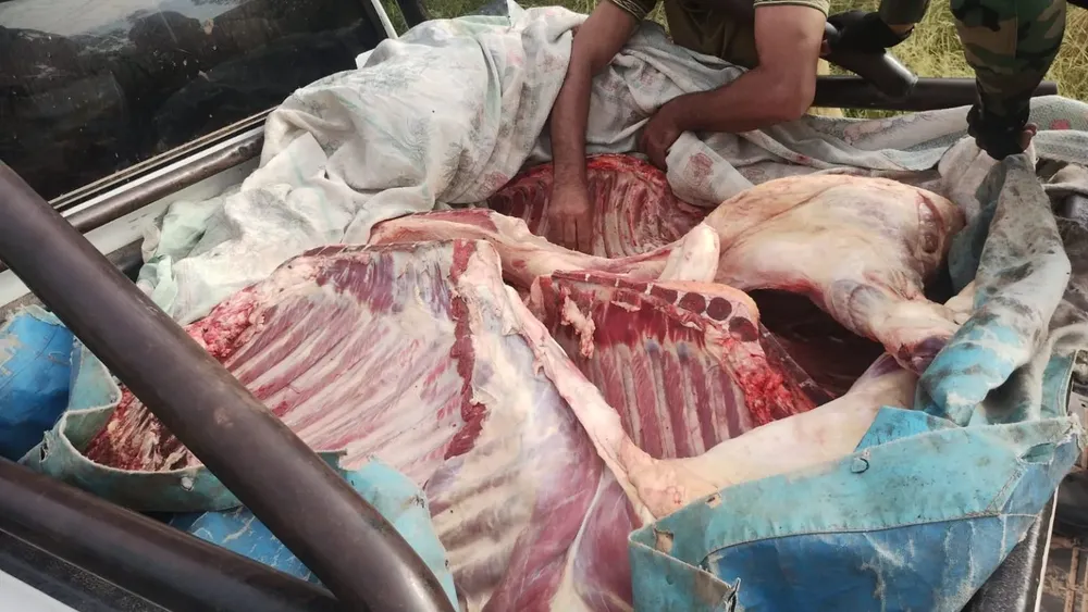 Imagen-de-WhatsApp-2025-01-21-a-las-11.33.59_de41632a-1536x864