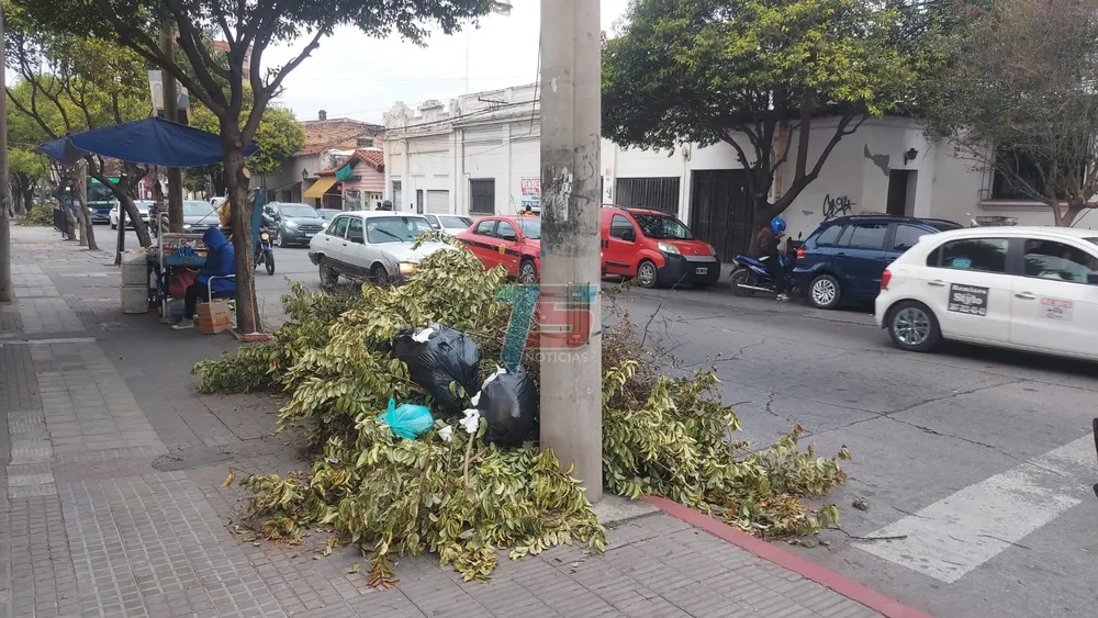 PORTADA PARA TODO SALTA (8)