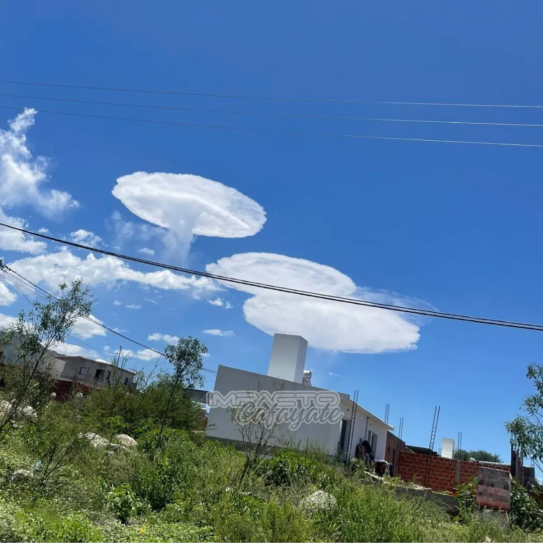 476111359_1073794691427262_6781793967997144388_n